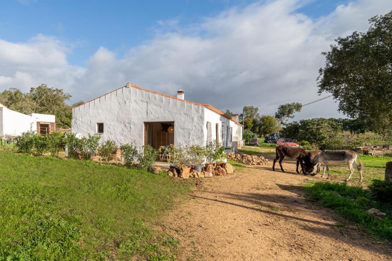 شقة Casa Da Paz ألخيزور المظهر الخارجي الصورة